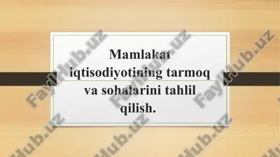 mamlaka iqtisodiyotining tarmoq vosohalarini tahlil qilish — PPTX