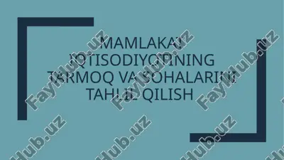 mamlakatiqtisodiyotining tarmoq va sohalarini tahlil qilish — PPTX