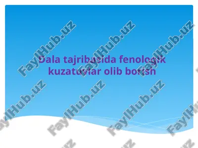 fenologik kuzatuvlar — PPTX
