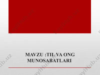 til va ong munosabatlari — PPTX