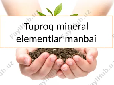 tuproq mineral elementlar manbai — PPTX