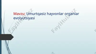 umurtqasiz hayvonlar organlari evolyutsiyasi — PPTX