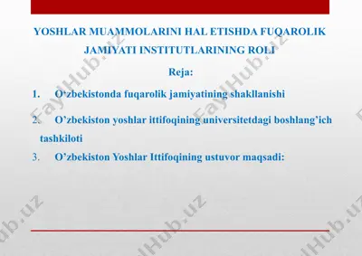 yoshlar muammolarini hal etishda fuqarolik jamiyatining institutlarining roli — PPTX