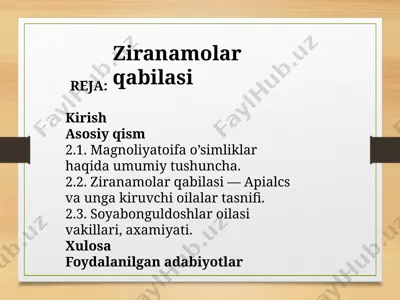 zirnamo va bongul doshlar oilasi va ularning vakillari — PPTX