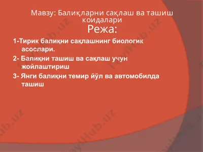 baliqlar nisaqlash va tashish mahsulotlari — PPTX