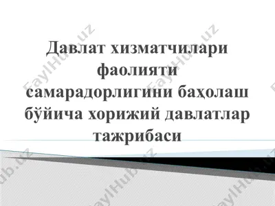 davlat xizmatchilari faoliyati samaradorligini baholash — PPTX