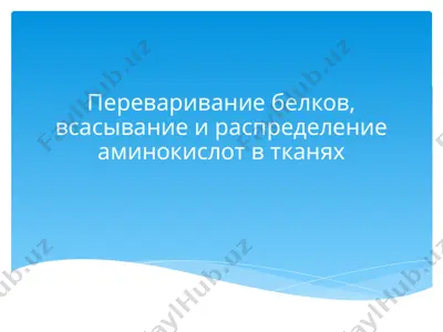 perevarivanie belkov, vsasivanie i raspredelenie aminokislot v tkanyax — PPTX
