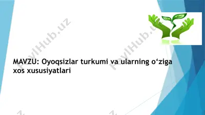 oyoqsizlar turkumi va ularning o‘ziga xos xususiyatlari — PPTX