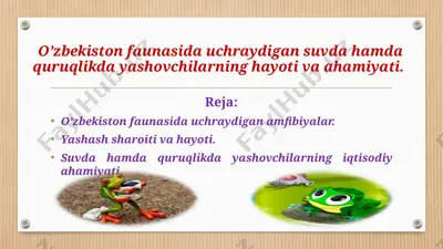 amfibiyalar — PPTX