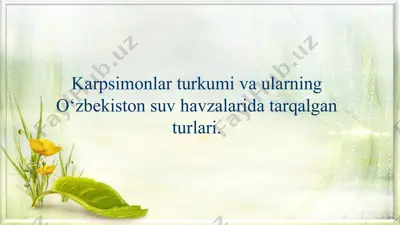 karpsimonlar — PPTX