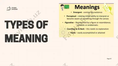 types of meaning — PPTX