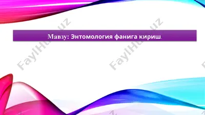 entomologiya faniga kirish — PPTX