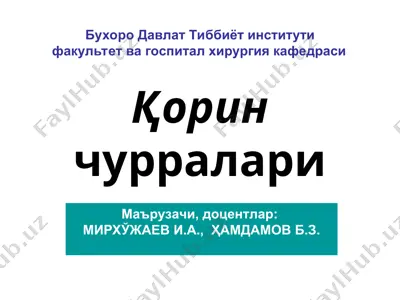 qorinchurralari — PPT