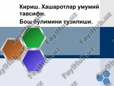 hasharotlar — PPTX