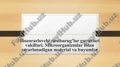 zamburug’lar — PPTX