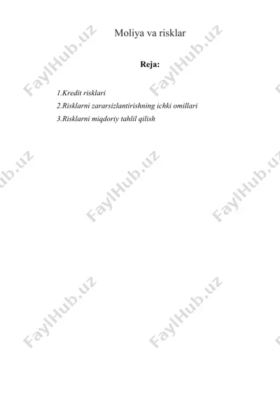 moliya va risklar — DOCX