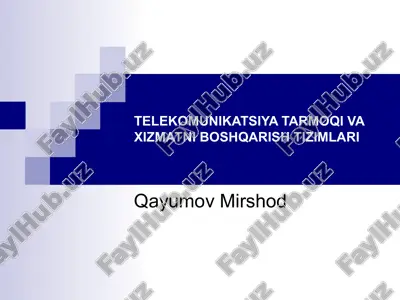 telekomunikatsiya tarmoqi va xizmatni boshqarish tizimlari — PPT