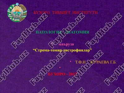 patologik anatomiya — PPT