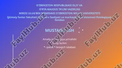 qisqa va uzoq muddatli ko'rish xotirasini aniqlash — PPTX