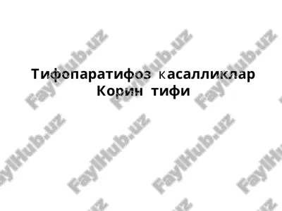 korin tifi — PPT