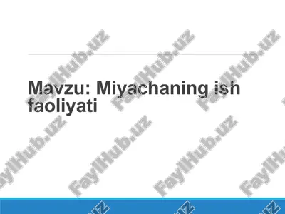 miyachaning ish faoliyati — PPTX
