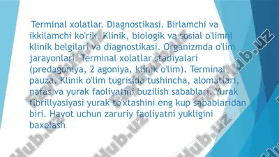 terminal xolatlar — PPTX