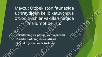qushlar haqida ma'lumotlar — PPTX