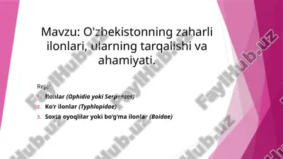 ilonlar haqida ma'lumot — PPTX