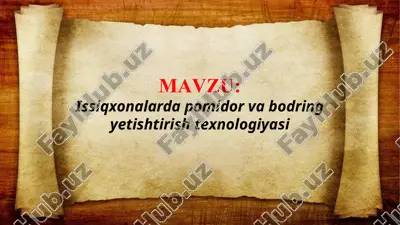 issiqxonalarda pomidor va bodring yetishtirish texnologiyasi (taqdimot) — PPTX