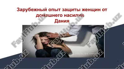 zarubejniy opit zashiti jenshin ot domashnego nasiliya daniya — PPTX