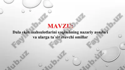 dala ekin mahsulotlarini saqlashning nazariy asoslari va ularga ta`sir etuvchi omillar (taqdimot) — PPTX