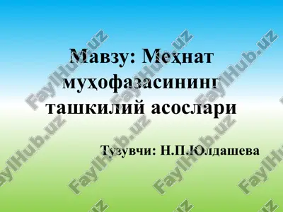 меҳнат муҳофазасининг ташкилий асослари — PPTX