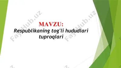 respublikaning tog'li hududlari tuproqlari (taqdimot) — PPTX