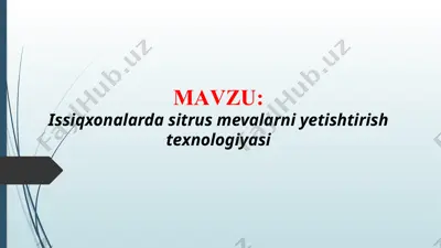 issiqxonalarda sitrus mevalarni yetishtirish texnologiyasi (taqdimot) — PPTX