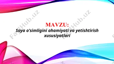 soya o'simligini ahamiyati va yetishtirish xususiyatlari (taqdimot) — PPTX