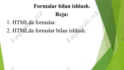 htmlda formalar — PPTX