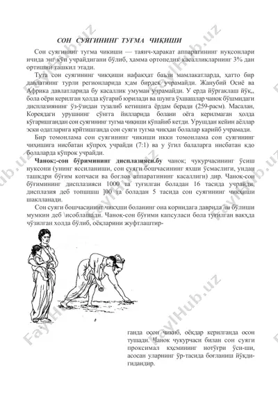 suyagini chiqishi mahsuloti — DOCX