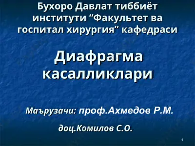 diafragma topografikanatomiyasi — PPT