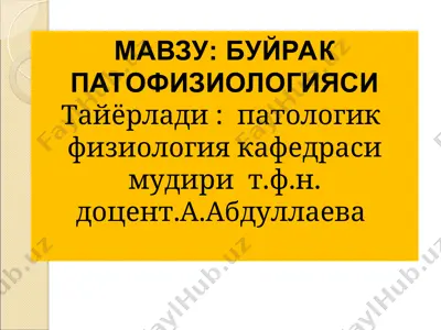 buyrak patofiziologiyasi — PPT