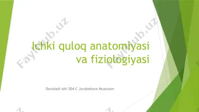 ichki quloq anatomiyasi va fiziologiyasi — PPTX