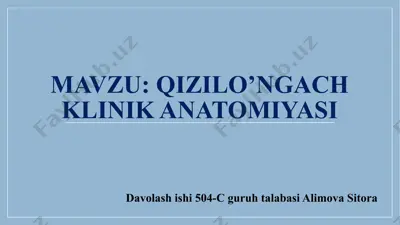qizilo’ngach klinik anatomiya — PPTX