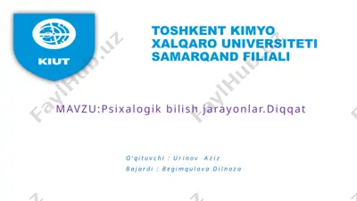 psixologik bilish jarayonlari — PPTX