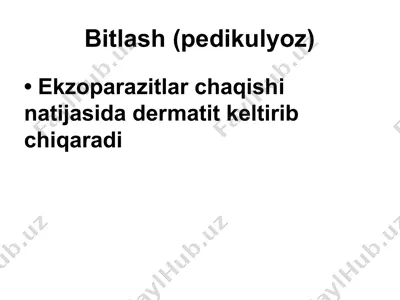 bitlash (pedikulyoz) — PPT