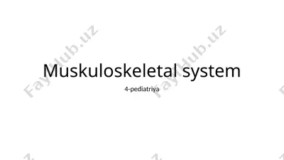 muskuloskeletal system — PPTX