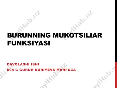 burunning mukotsiliar funksiyasi — PPTX