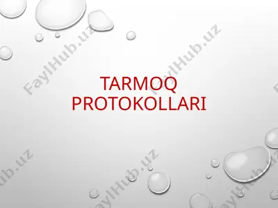 tarmoq protokollari — PPTX