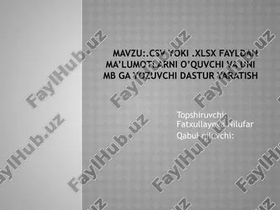 csv va excel fayldan ma'lumotlarni o'qish va yozish dasturi yaratish — PPTX