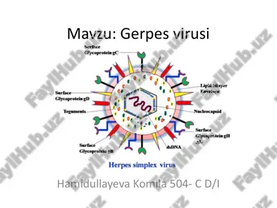 gerpesvirusi — PPTX