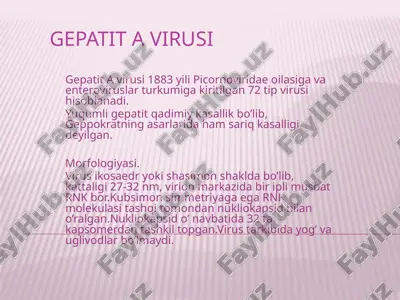 gepatit a virusi — PPTX