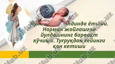 maternal mortality: global tragedy — PPTX